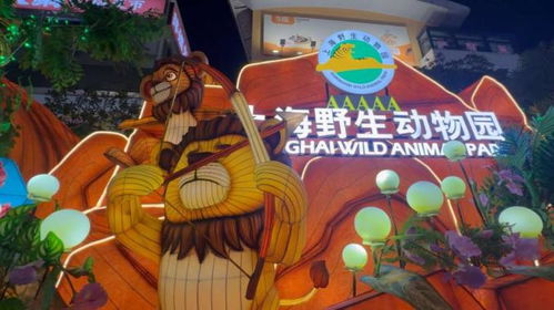 狂欢盛宴！八周年庆典，狼人杀乐园联动狂欢巡游盛大启幕！