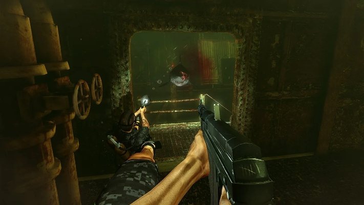 深渊惊悚射击,全新PC主机版惊悚来袭 深渊惊悚射击,全新PC主机版惊悚来袭