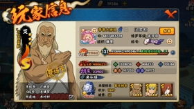 忍之道揭秘:剑舞巅峰,新篇启航 忍之道揭秘:剑舞巅峰,新篇启航