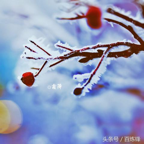 霜降节气探秘:霜降至,露凝霜《第五人格》二十四节气演绎录启幕 霜降节气探秘:霜降至,露凝霜《第五人格》二十四节气演绎录启幕