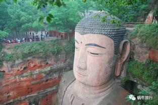 万丈大佛崛起揭秘,圈圈脸大和忍界新秀亮相! 万丈大佛崛起揭秘,圈圈脸大和忍界新秀亮相!