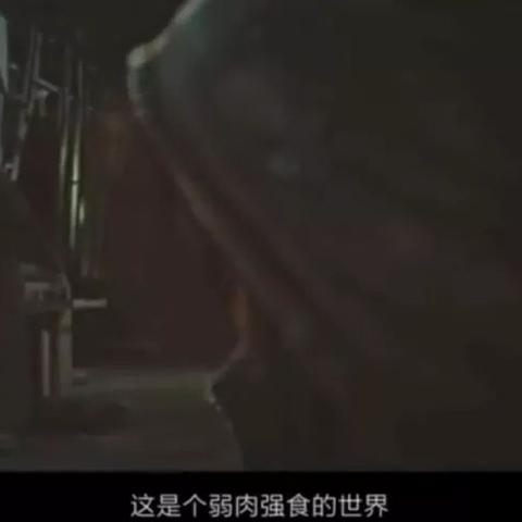 八神庵与不知火舞巅峰对决！《全明星觉醒》终极测试燃情来袭，体验全新竞技盛宴