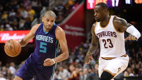 罗宾逊公园探秘:哥谭骑士鸱科历史深度解析 罗宾逊公园探秘:哥谭骑士鸱科历史深度解析