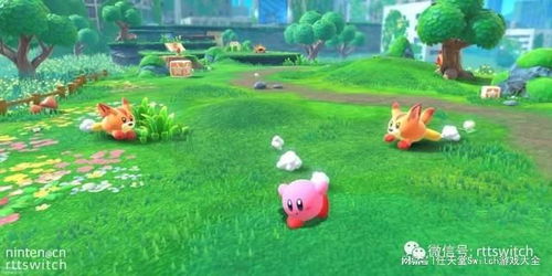 《星之卡比》全关卡隐藏任务攻略:深度解析探索发现新奥秘 《星之卡比》全关卡隐藏任务攻略:深度解析探索发现新奥秘