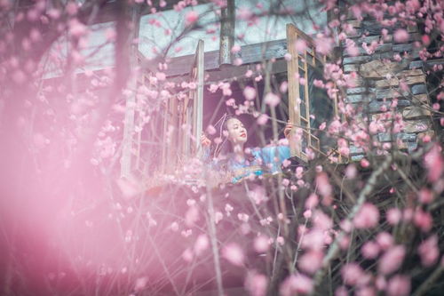 8月22日心动启程!绘旅人秘礼绽放多巴胺奇彩 8月22日心动启程!绘旅人秘礼绽放多巴胺奇彩