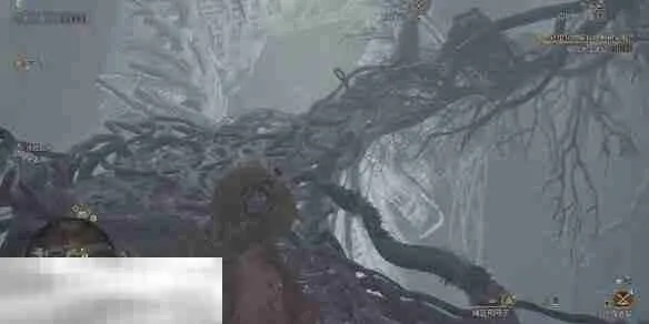 《荒野猎人》大虚无动隐藏位置揭秘！必看攻略！