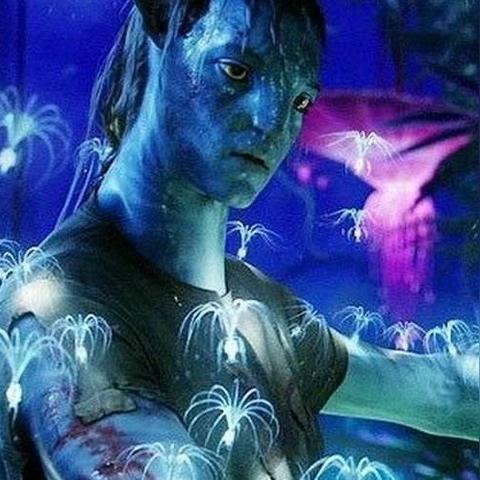 《阿凡达》评测揭秘:潘多拉边境体验值7.75分,沉浸式探险新高度 《阿凡达》评测揭秘:潘多拉边境体验值7.75分,沉浸式探险新高度