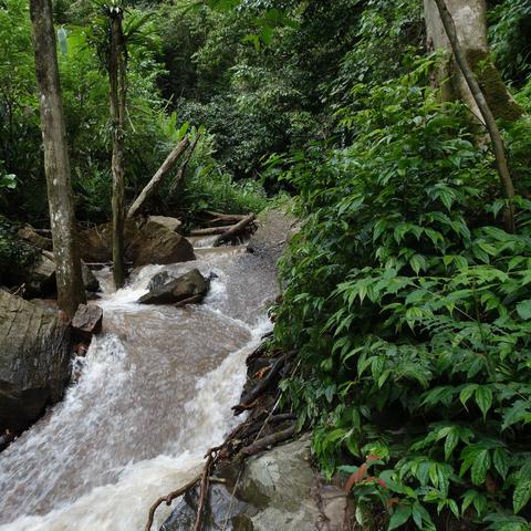 《神之亵渎2》再升级!银河恶魔城巅峰之作,成熟佳作新巅峰 《神之亵渎2》再升级!银河恶魔城巅峰之作,成熟佳作新巅峰