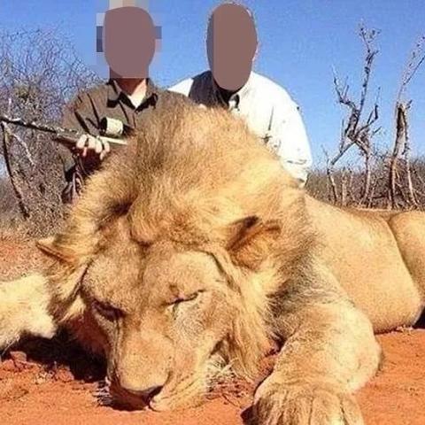 操控命运快感,宇宙之轮姐妹会评测新体验 操控命运快感,宇宙之轮姐妹会评测新体验