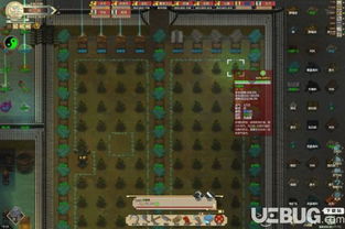 棉花种植攻略，揭秘《修仙模拟器》新价值种植技巧