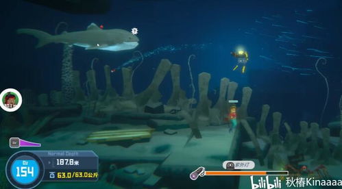 夏日清凉佳作，游戏《潜水员戴夫》治愈阳痿新体验