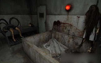 《守墓人》尸体解剖数值解析,深度揭秘新价值 《守墓人》尸体解剖数值解析,深度揭秘新价值