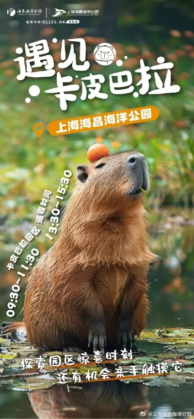 卡皮巴拉加盟幻兽公司，《云海之下》首席摸鱼官诞生，解锁全新职场价值！