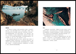 《伊始之地》评测:自然探索之旅,揭开神秘新篇章 《伊始之地》评测:自然探索之旅,揭开神秘新篇章