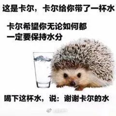 《风暴之城》评测:种田玩法升级,肉鸽体验再升华 《风暴之城》评测:种田玩法升级,肉鸽体验再升华