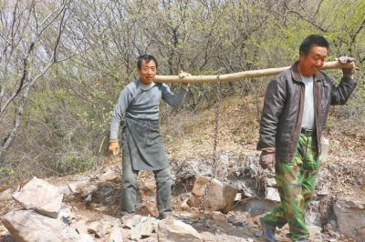 杏林开采工：治病技艺与挖掘智慧并重