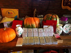 沉浸式茶歇:探寻《画语美景》心灵之旅 沉浸式茶歇:探寻《画语美景》心灵之旅