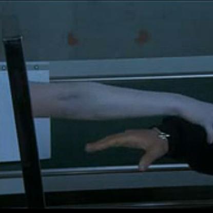 奇闻怪谈汇聚,《黑发大人的晚餐》评测探秘新篇章 奇闻怪谈汇聚,《黑发大人的晚餐》评测探秘新篇章