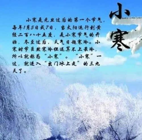 寒山万里映月冻,第五人格小寒节气演绎新篇章 寒山万里映月冻,第五人格小寒节气演绎新篇章