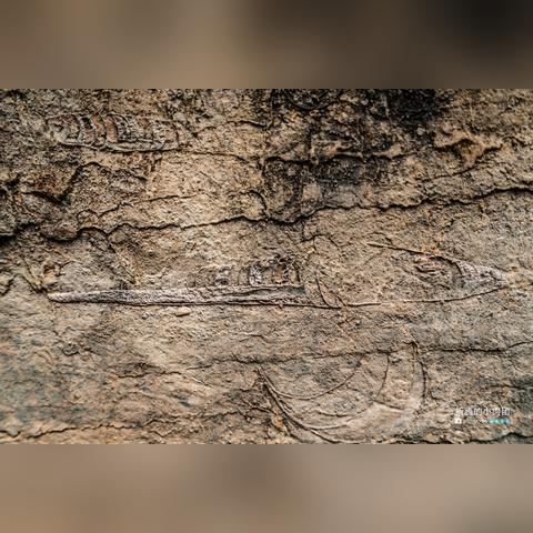 迷宫探秘:出口并非关键,揭秘游戏核心价值 迷宫探秘:出口并非关键,揭秘游戏核心价值