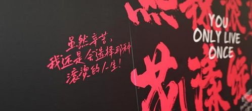 经典致敬再升级,《暴走大鹅》灵魂新演绎 经典致敬再升级,《暴走大鹅》灵魂新演绎