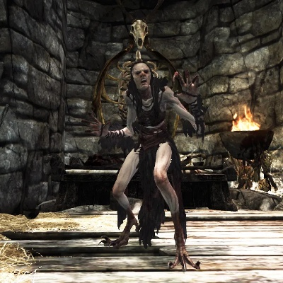 《上古卷轴》人形生物图鉴：揭秘神秘生物全解析