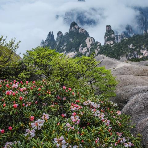畅游蓝天:微软飞行模拟器2020,愉悦挑战双重体验 畅游蓝天:微软飞行模拟器2020,愉悦挑战双重体验