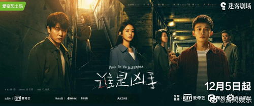 《凶手之谜揭晓，真相揭示不止一个》