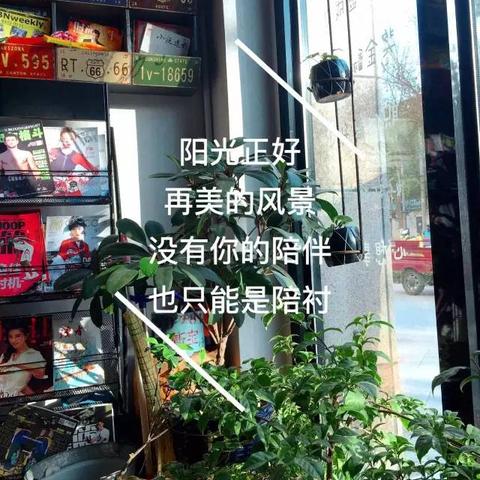 复古甜品新升级,《炽热合金》评测:探寻合金之魂的甜蜜奥秘 复古甜品新升级,《炽热合金》评测:探寻合金之魂的甜蜜奥秘