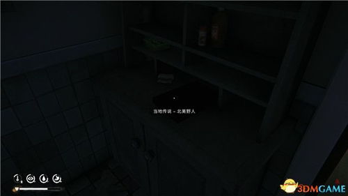 《漫漫长夜第三章攻略:全主支线视频解析》 《漫漫长夜第三章攻略:全主支线视频解析》