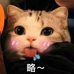 猫界巅峰体验!揭秘十大必玩猫咪游戏排行攻略 猫界巅峰体验!揭秘十大必玩猫咪游戏排行攻略