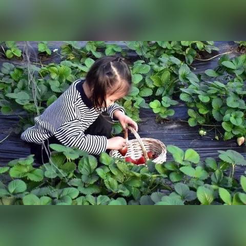 极致速度盛宴,揭秘《极品飞车OL》超级跑车集结战 极致速度盛宴,揭秘《极品飞车OL》超级跑车集结战