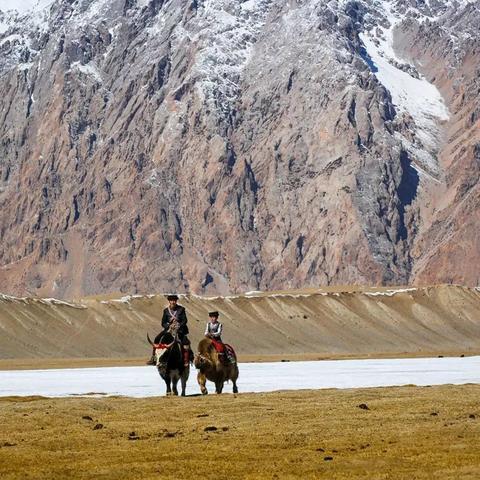 萌鹰探险记:迷人冒险新体验 萌鹰探险记:迷人冒险新体验