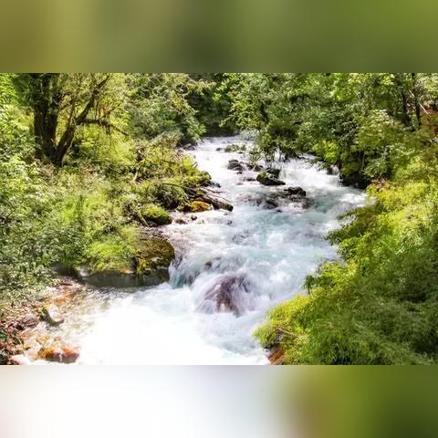 《领地人生:林中村落》评测升级,体验版亮点解析,深度体验新启航 《领地人生:林中村落》评测升级,体验版亮点解析,深度体验新启航