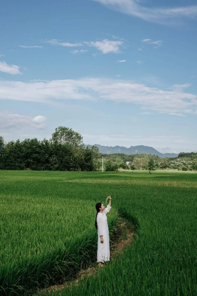 寂静风田耕心之旅 寂静风田耕心之旅