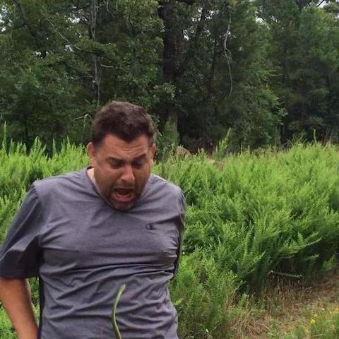 十大热门弹射游戏,人气必玩精选推荐 十大热门弹射游戏,人气必玩精选推荐