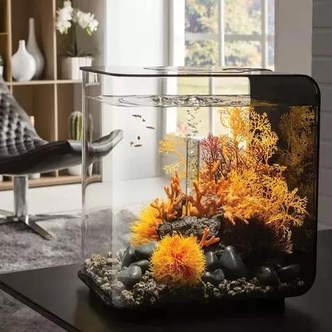 盘点最佳生物收集乐趣：探索最迷人游戏体验