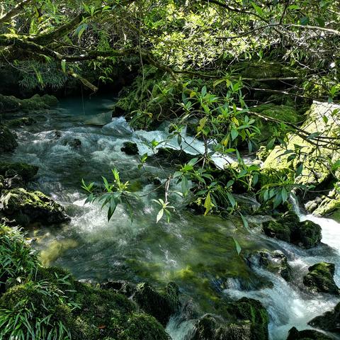 清新探险新体验,《洞穴》评测:小清新魅力无限 清新探险新体验,《洞穴》评测:小清新魅力无限