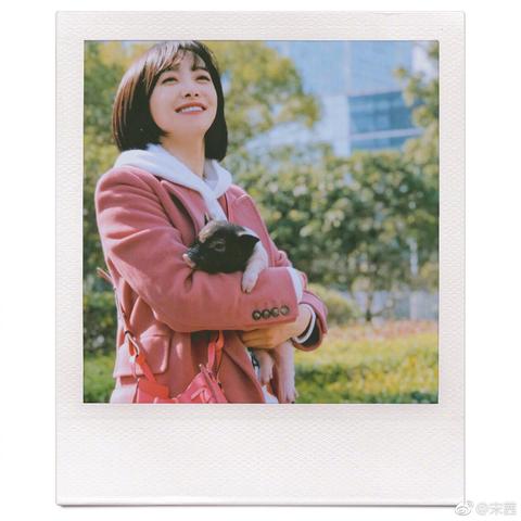 人性光辉闪耀战场,《狙击精英2》诠释战争新视角 人性光辉闪耀战场,《狙击精英2》诠释战争新视角