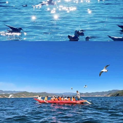 点击游戏推荐:最新热门下载必玩攻略 点击游戏推荐:最新热门下载必玩攻略