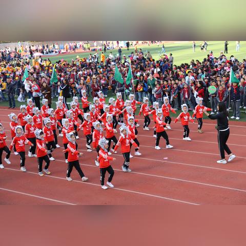 十大必玩动物游戏盘点:探寻经典乐趣新境界 十大必玩动物游戏盘点:探寻经典乐趣新境界