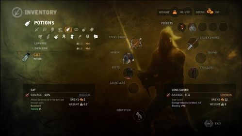 《巫师2:国王刺客》深度评测,揭秘真材实料下的华丽外表新价值 《巫师2:国王刺客》深度评测,揭秘真材实料下的华丽外表新价值