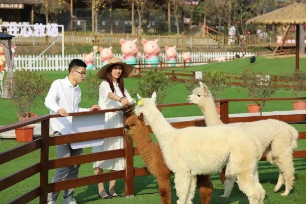 《金垦小镇》生活新花样:种田繁育动物,火车系统全启航! 《金垦小镇》生活新花样:种田繁育动物,火车系统全启航!