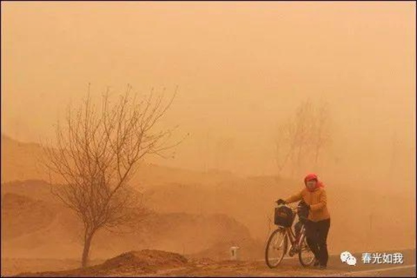 沙尘笼罩下的现代启示录:一线生机深度解析 沙尘笼罩下的现代启示录:一线生机深度解析