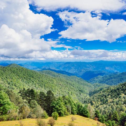 惊悚回归!阴暗森林2:沉浸式生存恐怖新体验 惊悚回归!阴暗森林2:沉浸式生存恐怖新体验