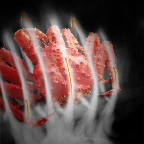 狂战士狂飙100层,元气骑士攻略秘籍大公开! 狂战士狂飙100层,元气骑士攻略秘籍大公开!