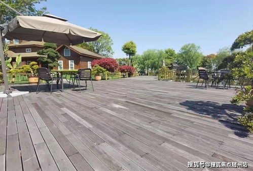 PSN网络服务瘫痪超24小时未恢复,紧急关注！