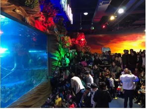 航海盛宴:热门精选,畅游海洋新体验 航海盛宴:热门精选,畅游海洋新体验