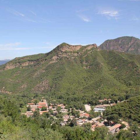 荒野生存必备:全面解析人参分布高效攻略 荒野生存必备:全面解析人参分布高效攻略