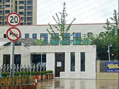 喵师傅工坊大揭秘:休闲经营新体验 喵师傅工坊大揭秘:休闲经营新体验